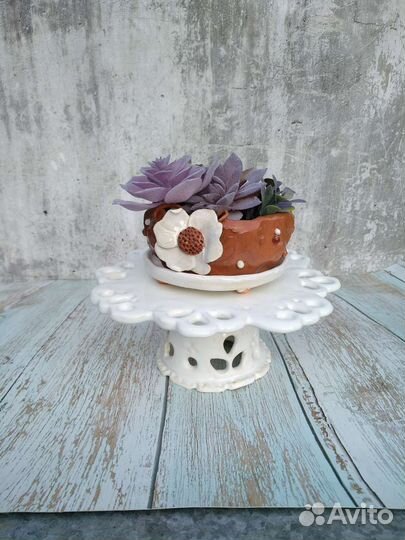 Керамические горшочки для суккулентов