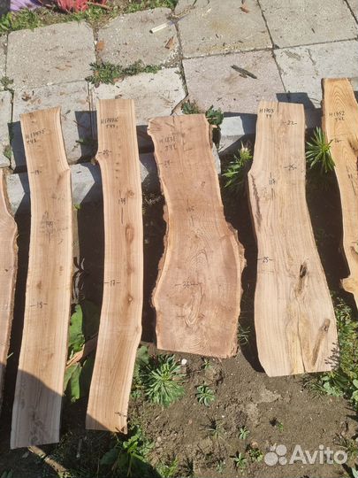 Слэб карагача