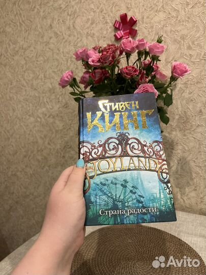 Стивен кинг страна радости