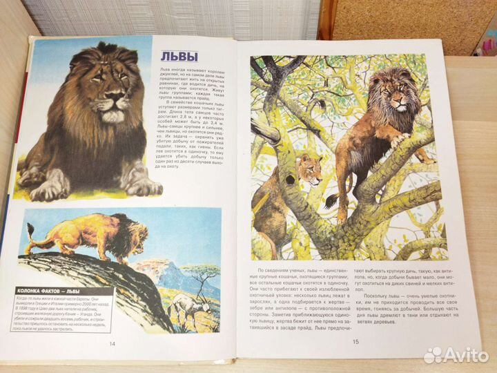 Энциклопедия животных