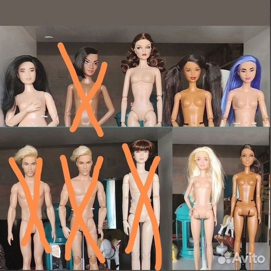 Куклы барби, кен, мизи гибриды