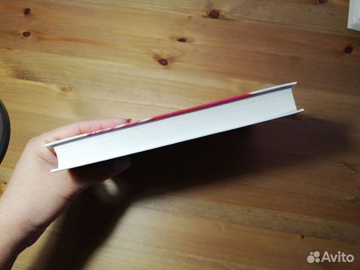 Кларисса Гоэнаван Птицы дождя