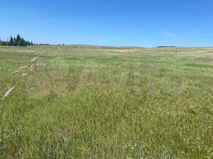 Участок 4 сот. (ИЖС)