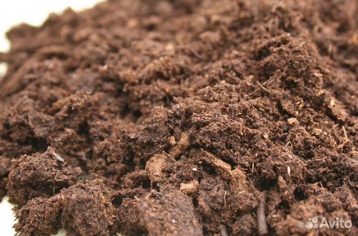 Перегной коровий