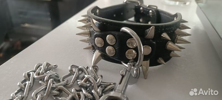 Ошейник для собак