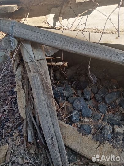 Каменный уголь