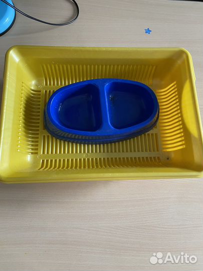 Лоток и миска для кошки