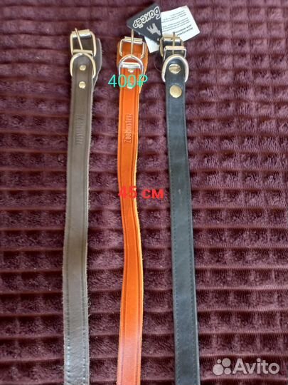 Ошейники, поводки