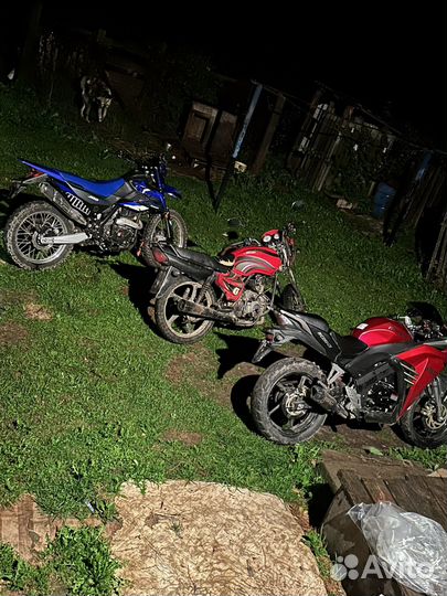 Рейсер скайвей 250