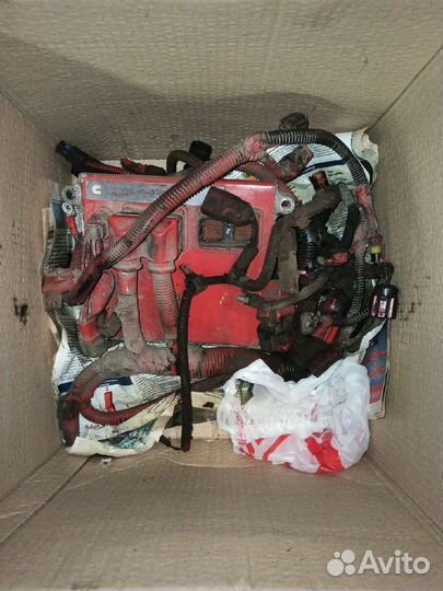 Двигатель cummins isx 15.Запчасти