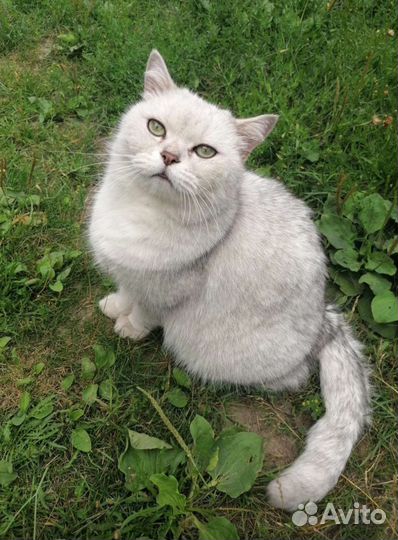 Один на улице