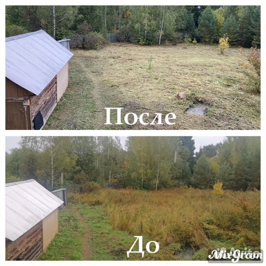 Покос травы