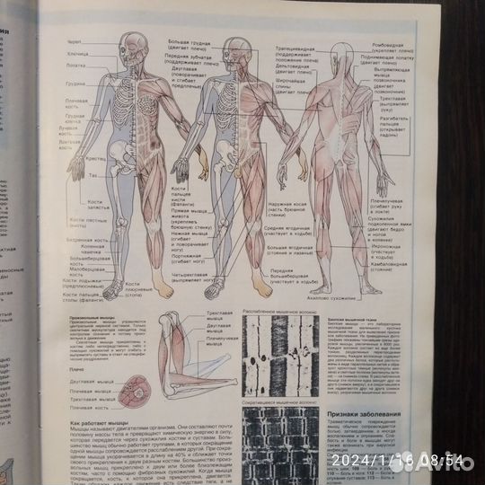 Справочник