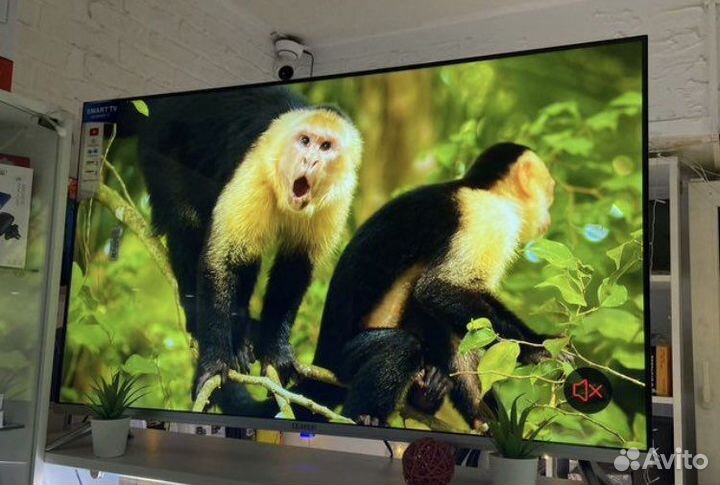 Телевизор BekoHD 45