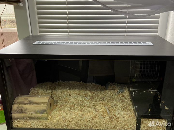 Клетка дюна