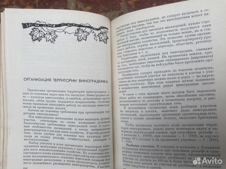 Виноградство книга 1960 год