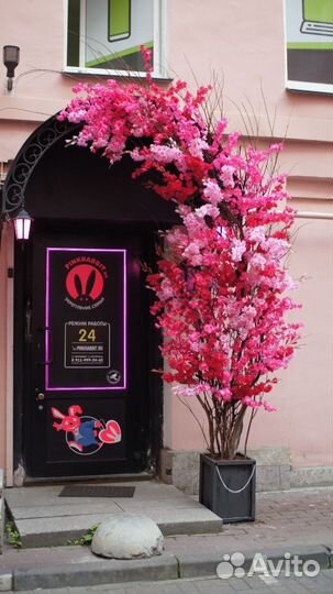 Цветущее дерево