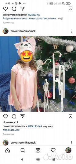 Костюмы домашних животных