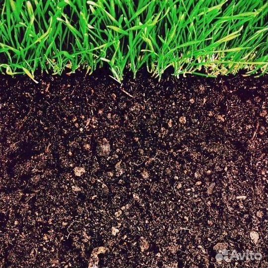 Грунт растительный