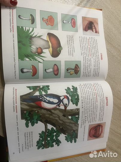 Книга «Уроки логопеда»