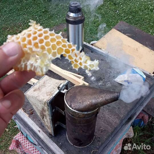 Мёд таёжное разнотравье