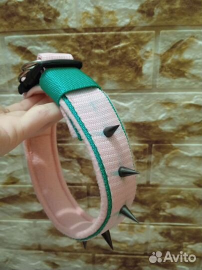 Ошейники для собак