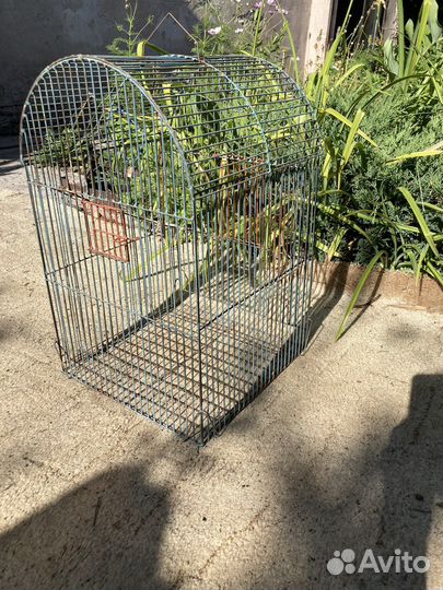 Клетка для среднего попугая