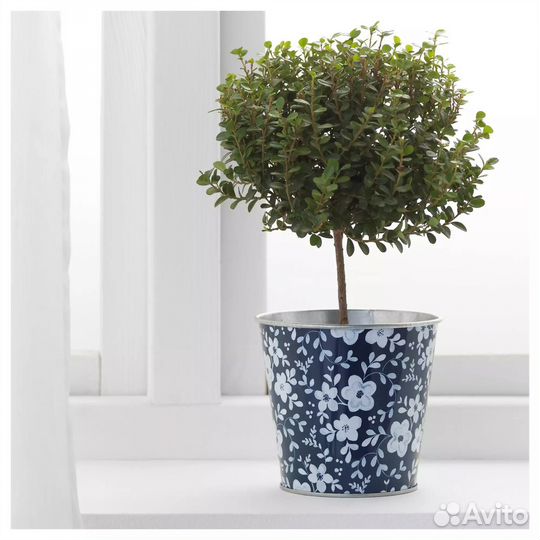 Новые кашпо, IKEA