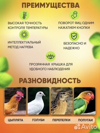 Инкубатор для яиц автоматический