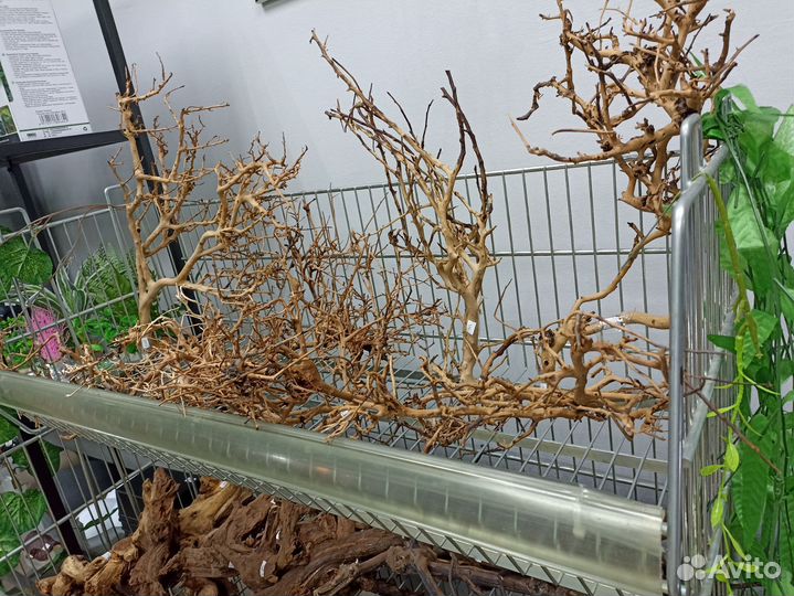 Коряги для террариума и аквариума