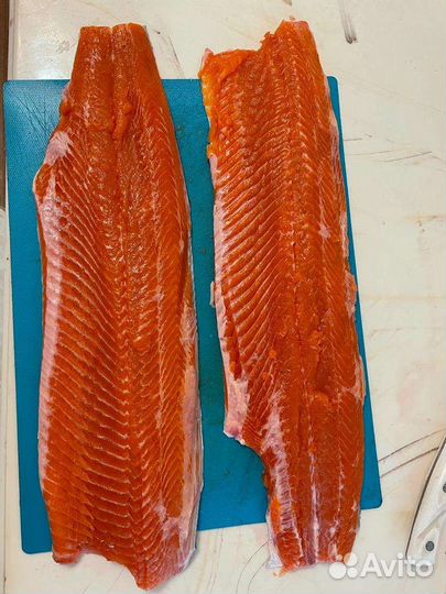 Форель свежая привоз 25 мая