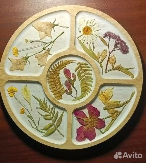 Авторский курс “Мастерская художника”