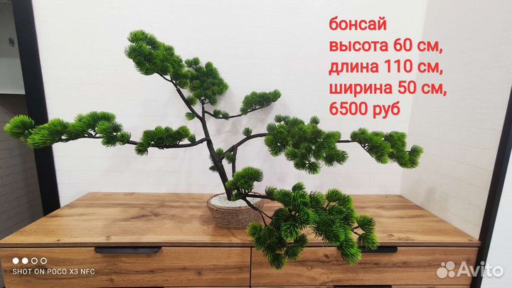 Искусственные деревья туи и бонсай