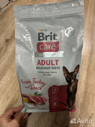 Brit, blitz для кошек и собак