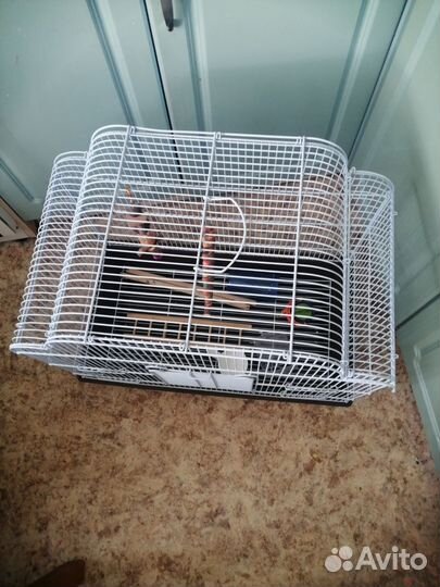 Клетка для попугая бу