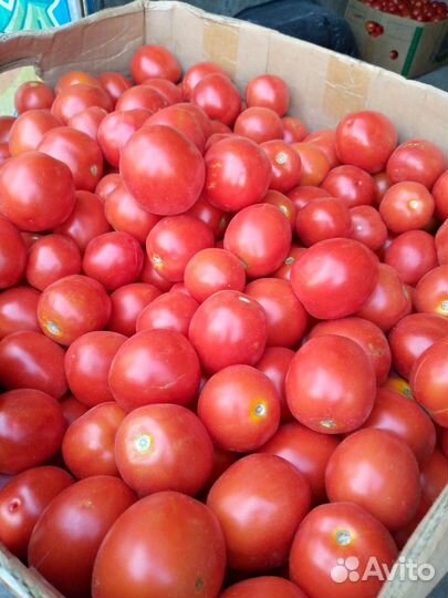 Помидор, картофель, чеснок, перец,лук