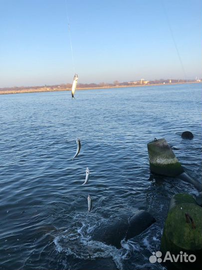 Снасть для ловли салаки