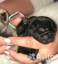 Девочка черная