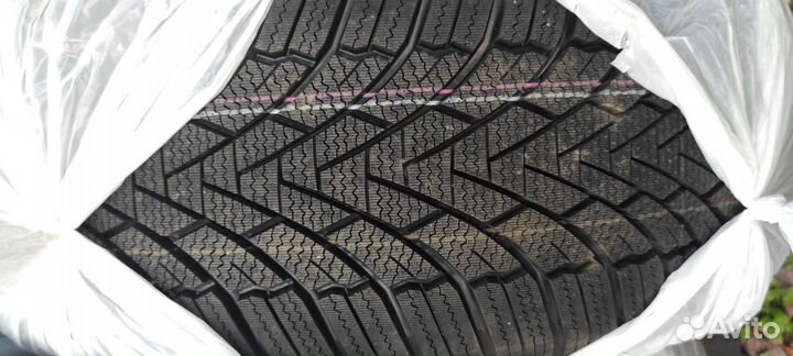 Zmax Winterhawke I 225/55 R19 99H