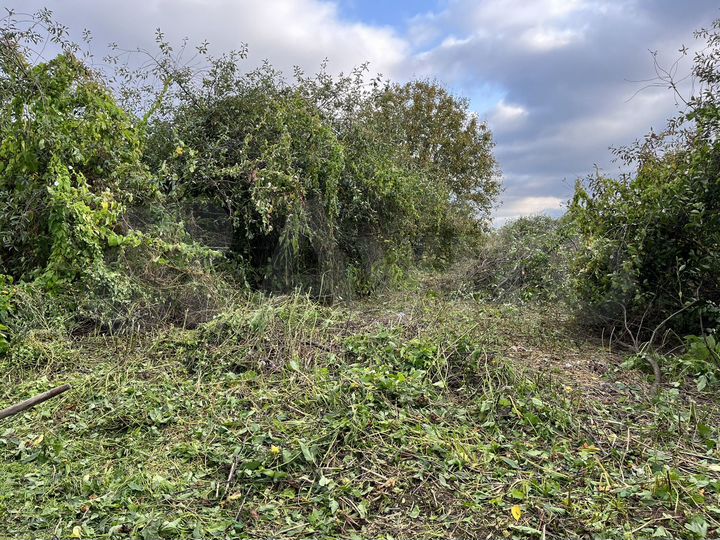 Участок 4 сот. (СНТ, ДНП)