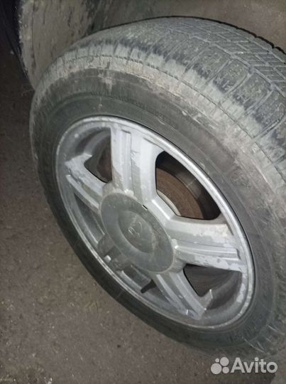 Торусы r14