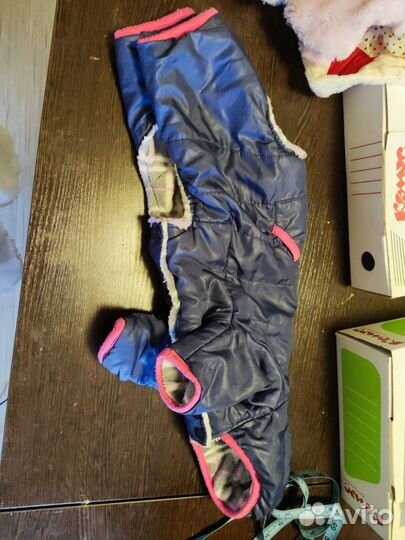 Одежда для маленьких собак