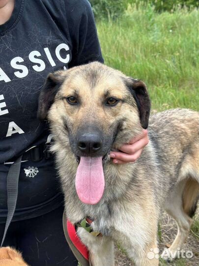 Очень добрый мальчик