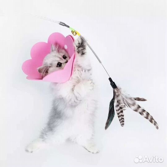 Защитный воротник для кошек и собак