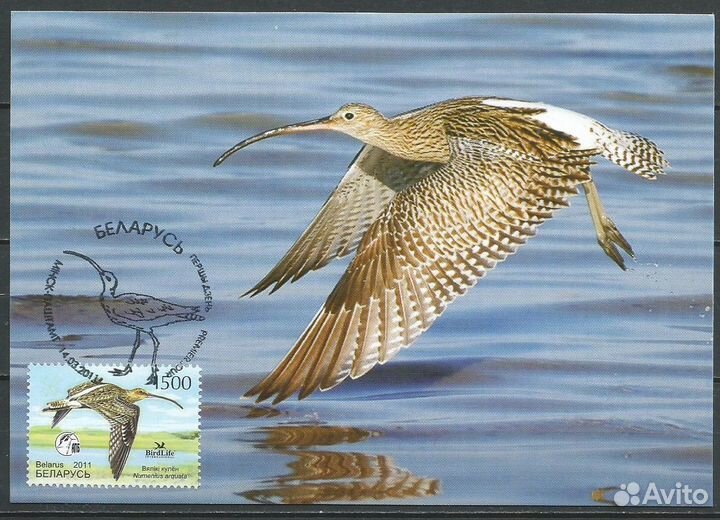 Картмаксимумы Камбоджи, Беларуси, Румынии