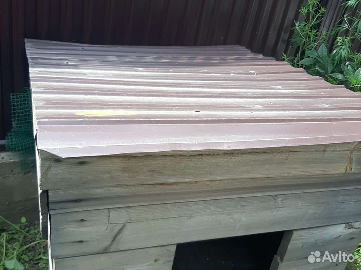 Собачья конура