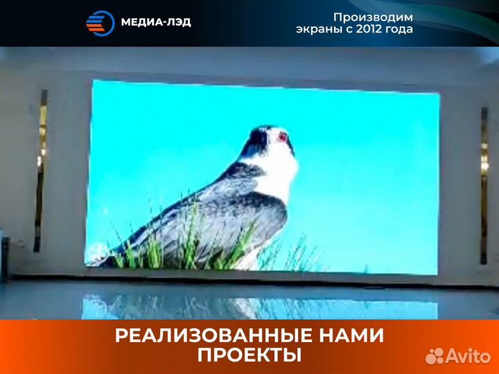 LED экран Для магазинов P1.37 PRO