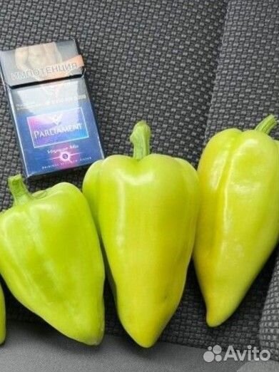 Семена перца фаст