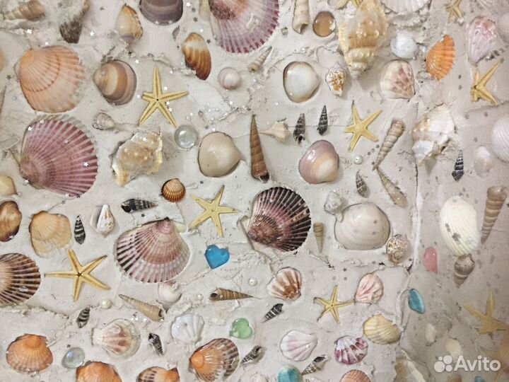 15 09 2023 много Ракушки средиземноморья