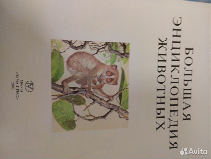 Большая энциклопедия животных для детей